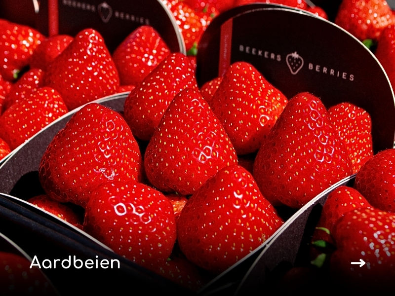 Aardbeien
