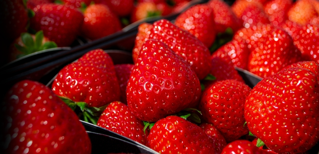 De lekkerste aardbeien