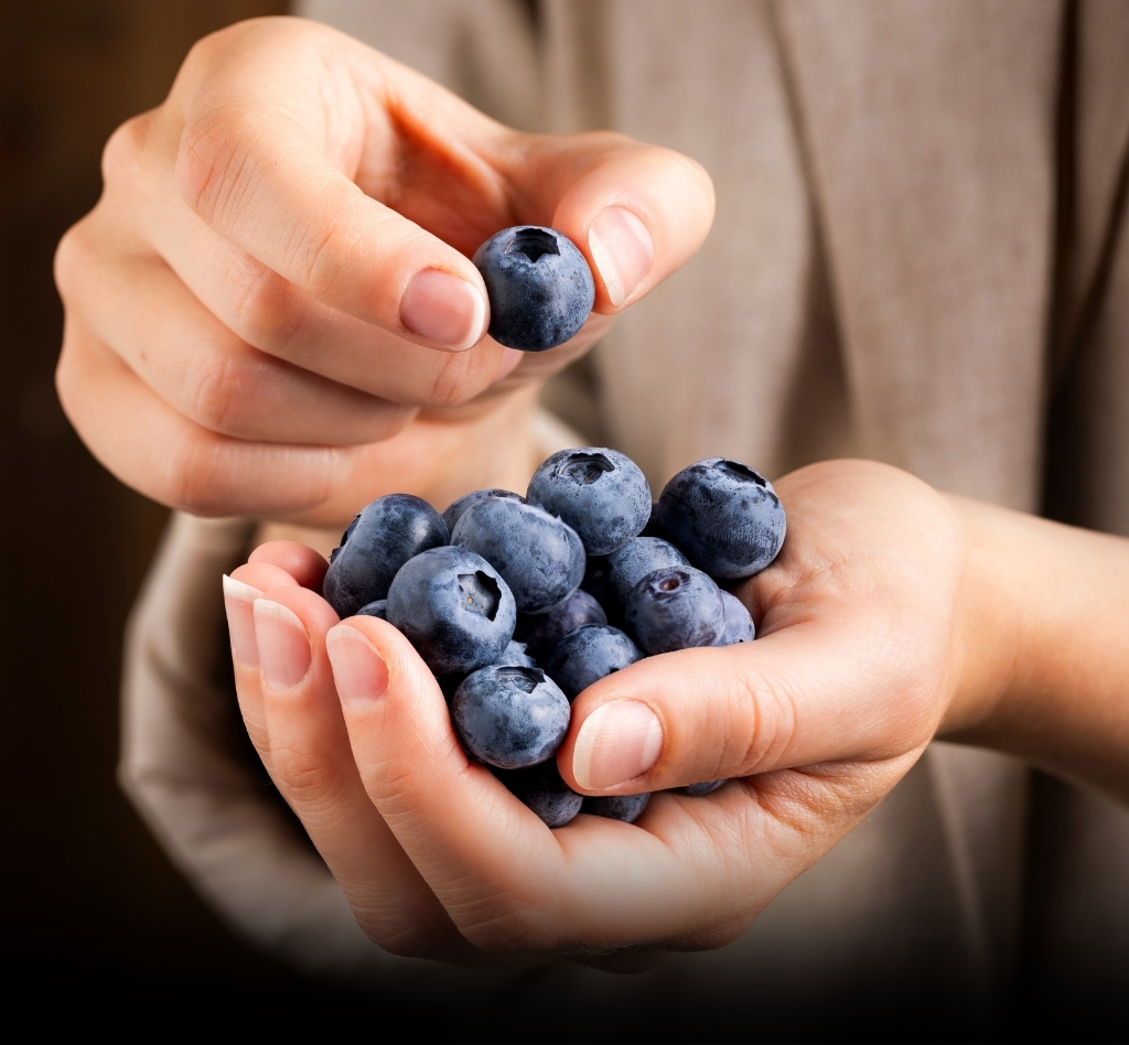 De lekkerste blauwe bessen