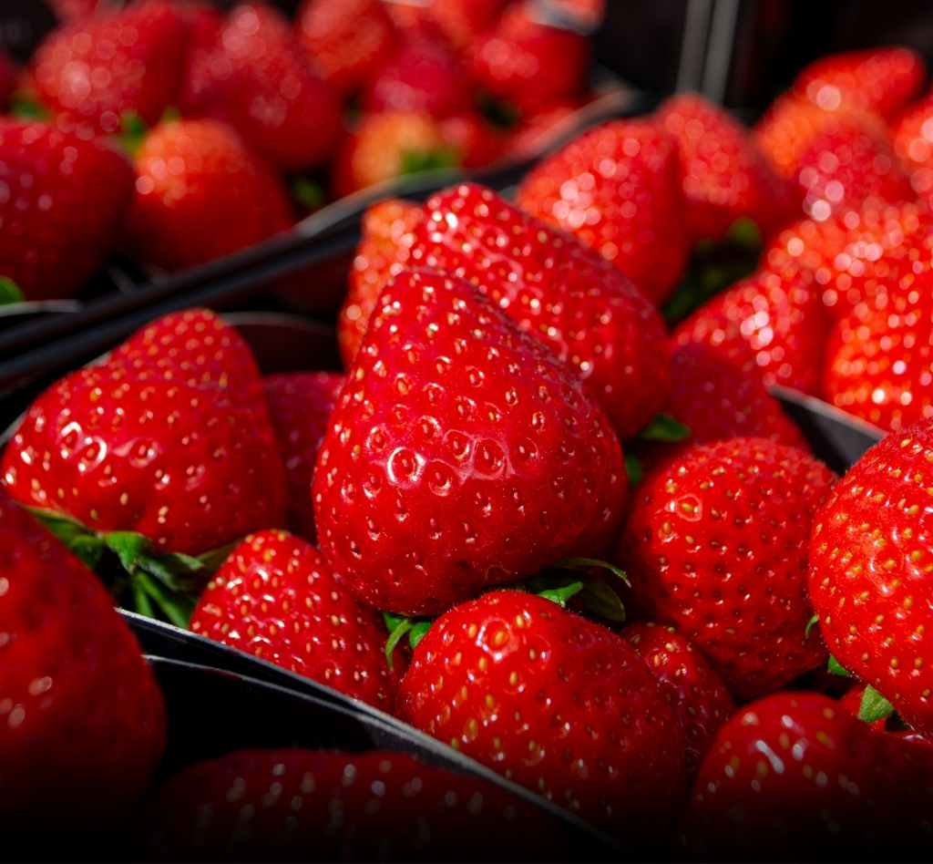De lekkerste aardbeien