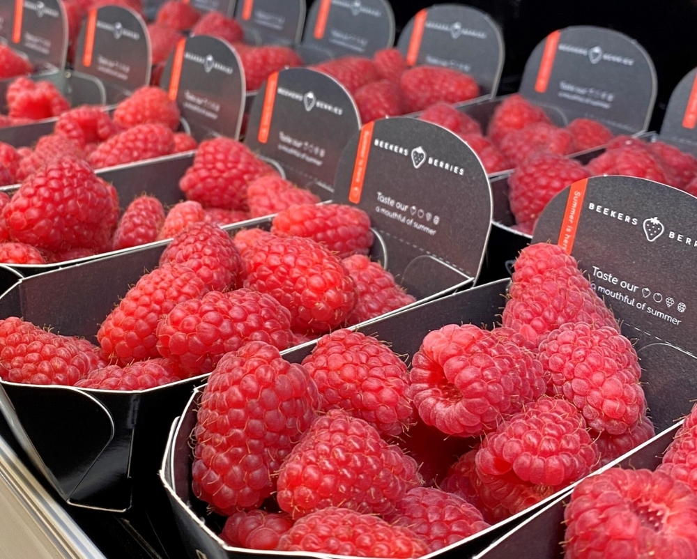 Fruit Logistica 2025