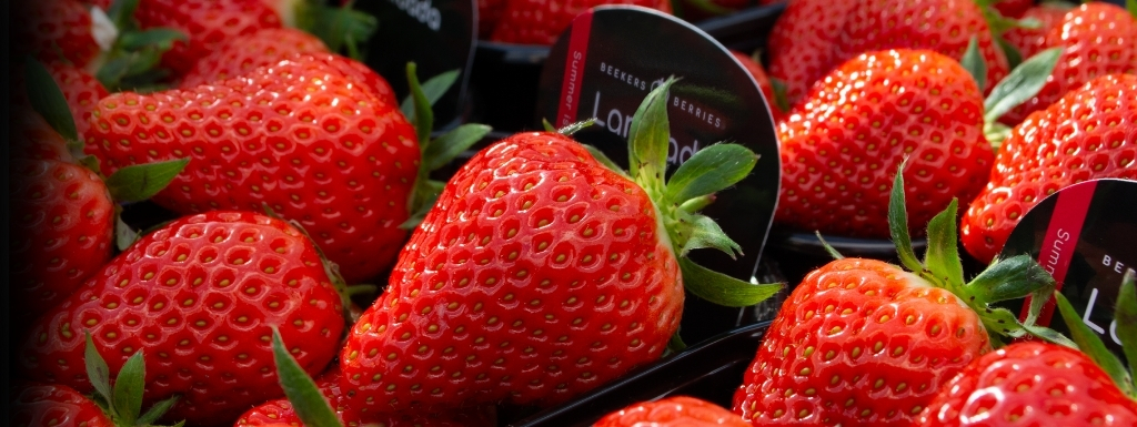 De lekkerste aardbeien