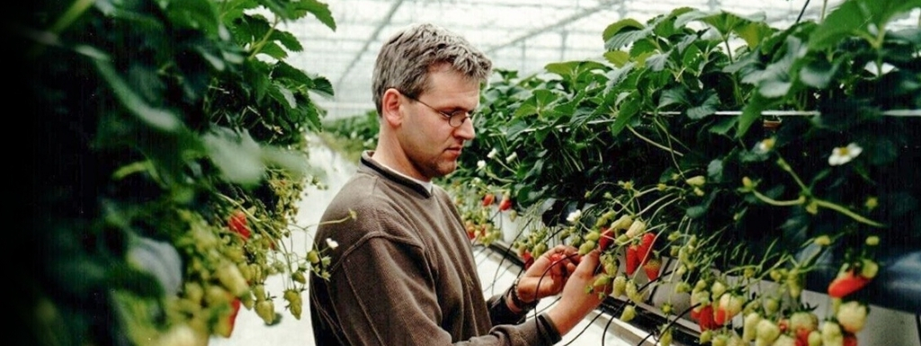Wil Beekers bij aardbeienplant